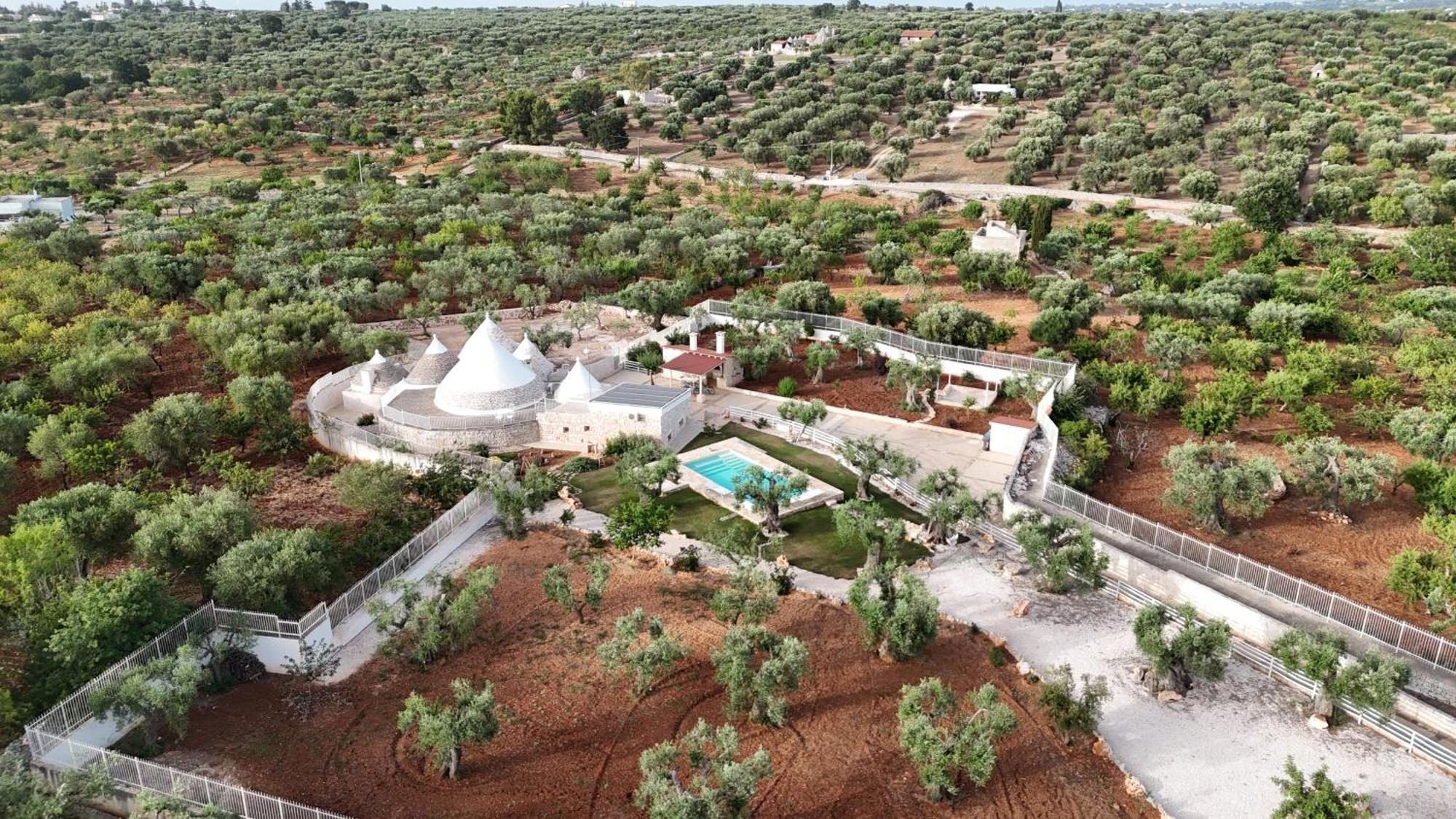 Trulli Lisanna - Apulian Hideaway With Pool Apartamento Antonelli Exterior foto